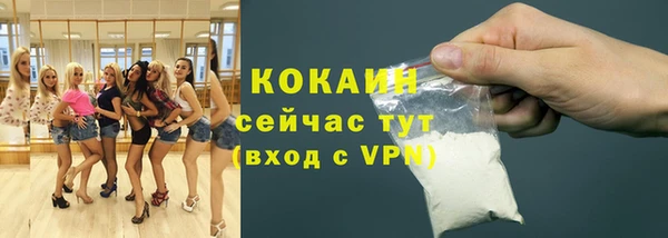 соль ск Белокуриха