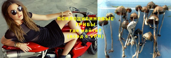 синтетический гашиш Богородск