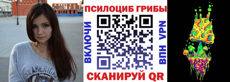 Псилоцибиновые грибы мицелий  Купить где  Лысково 